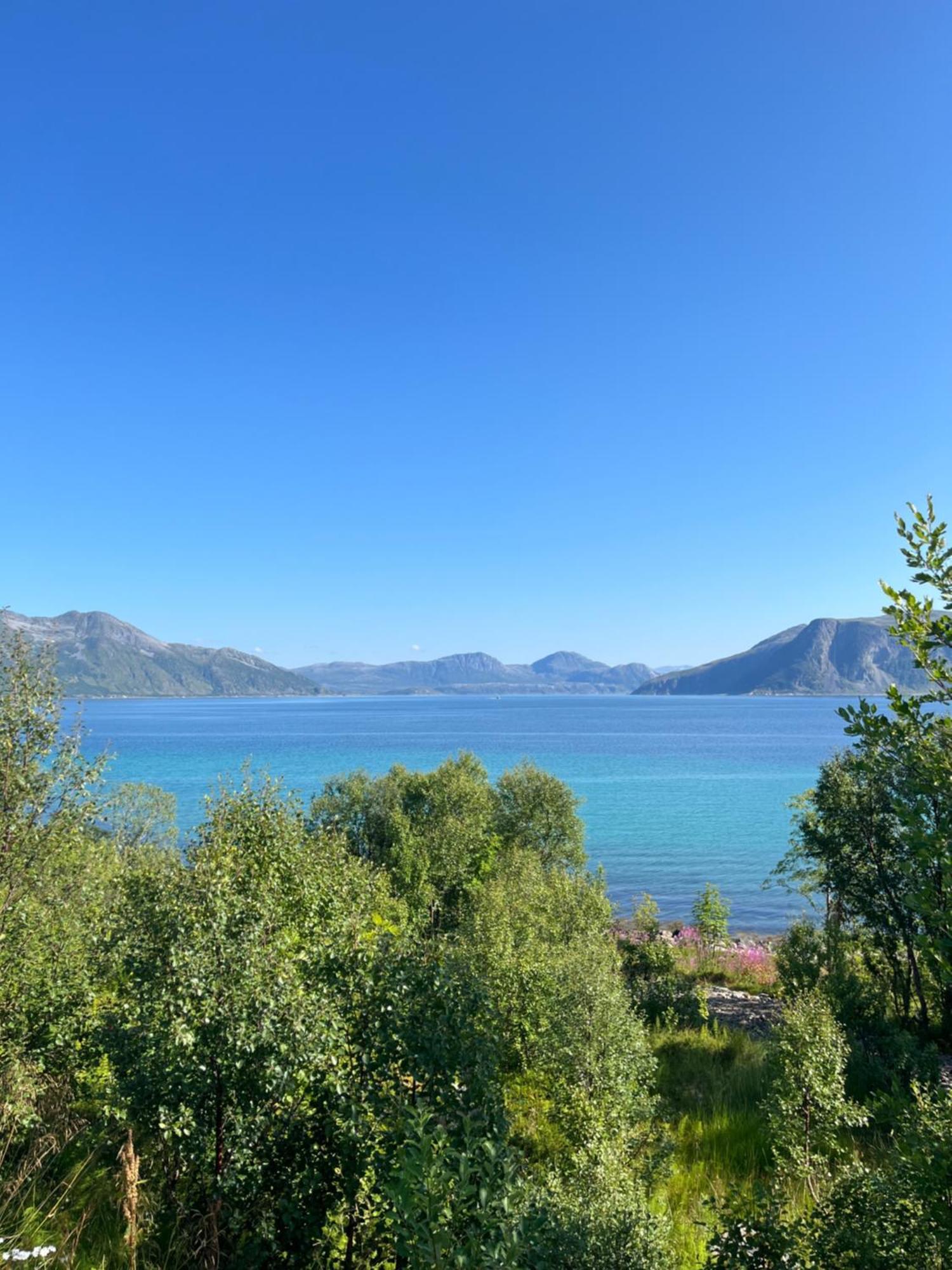 Fantastic View, Quiet And Relaxing By The Sea Villa Kvaloya Dış mekan fotoğraf
